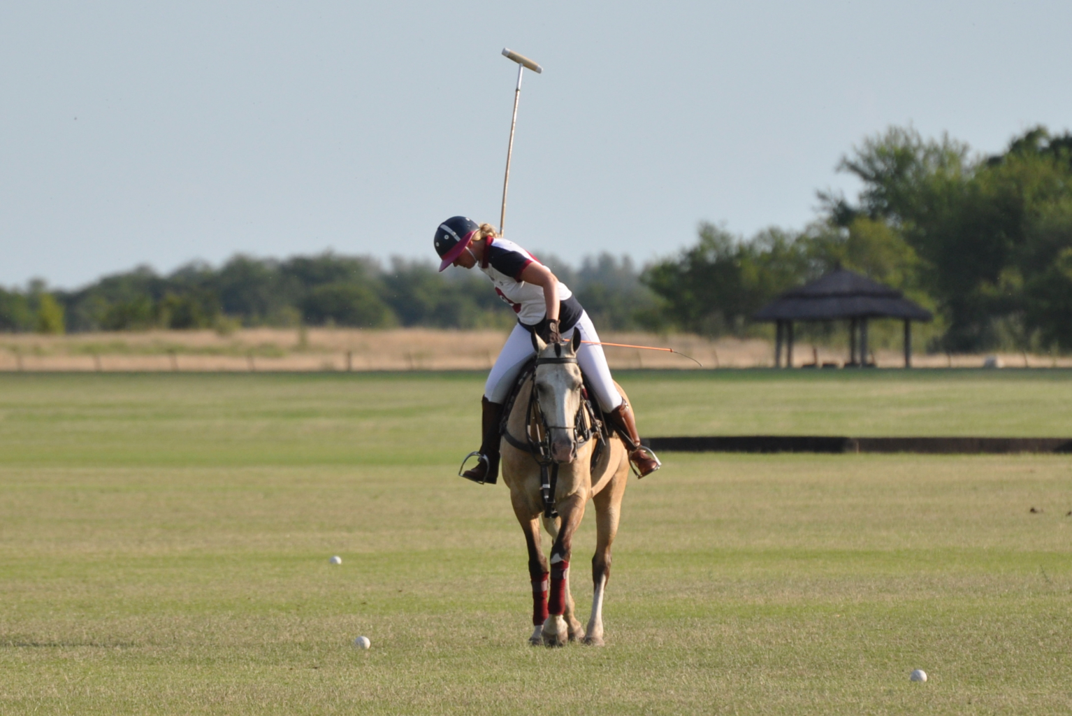 Dia de Polo en Puesto Viejo