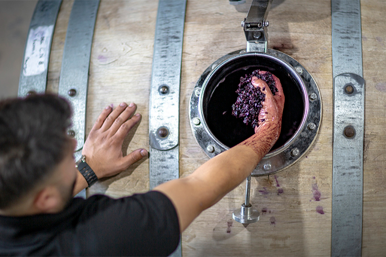 Wine Experience - Blending Game 5 Suelos